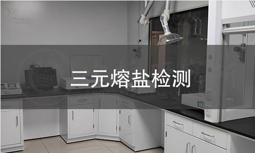 三元熔盐检测