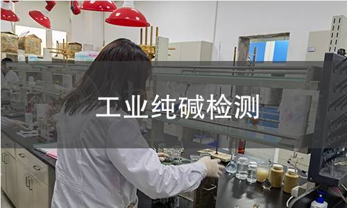 工业纯碱检测
