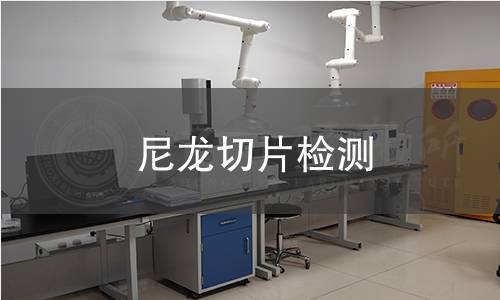 尼龙切片检测