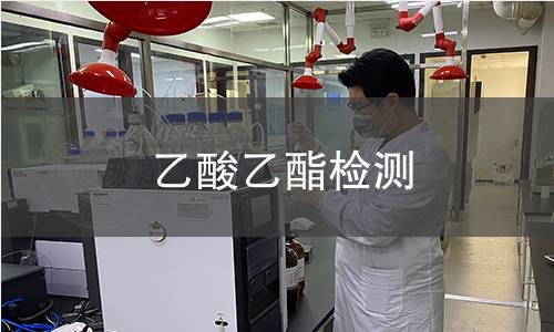 乙酸乙酯检测