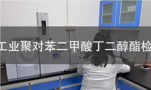 工业聚对苯二甲酸丁二醇酯检测