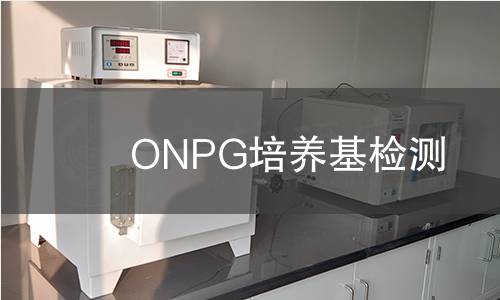 ONPG培养基检测