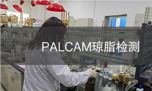PALCAM琼脂检测