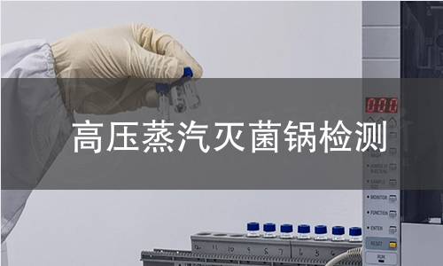 高压蒸汽灭菌锅检测