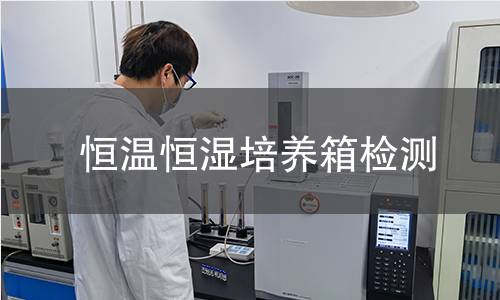 恒温恒湿培养箱检测