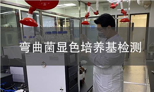弯曲菌显色培养基检测