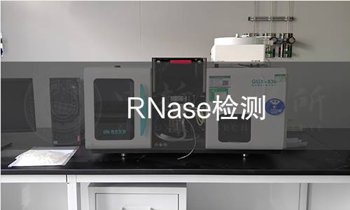 RNase检测