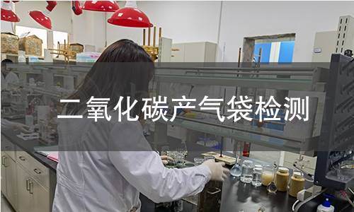 二氧化碳产气袋检测
