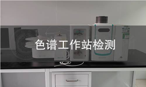 色谱工作站检测
