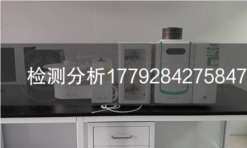 检测分析1779284275847检测