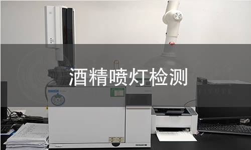 酒精喷灯检测
