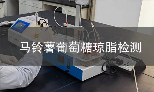 马铃薯葡萄糖琼脂检测
