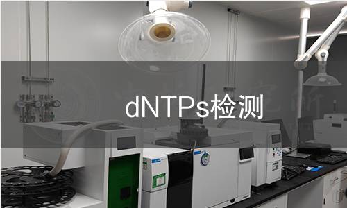 dNTPs检测