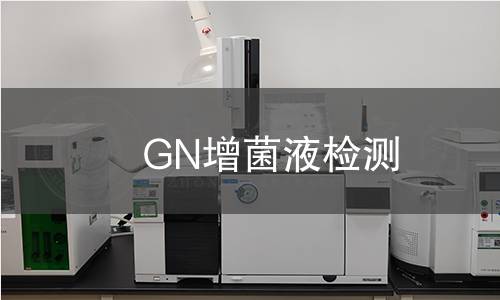 GN增菌液检测