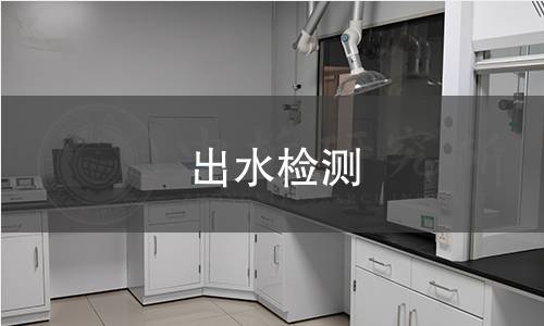 出水检测