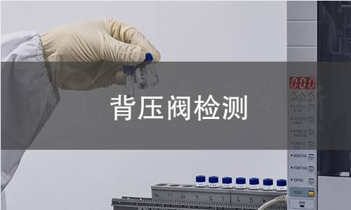 背压阀检测