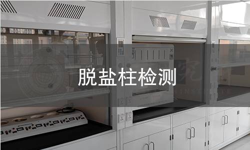脱盐柱检测