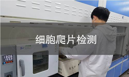 细胞爬片检测