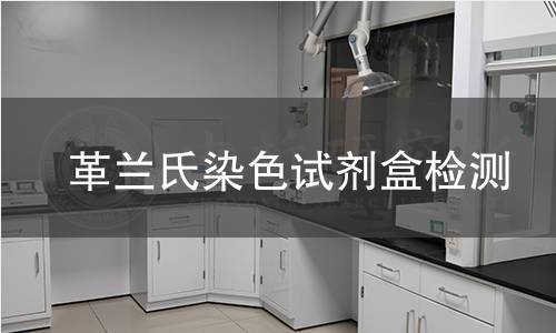 革兰氏染色试剂盒检测