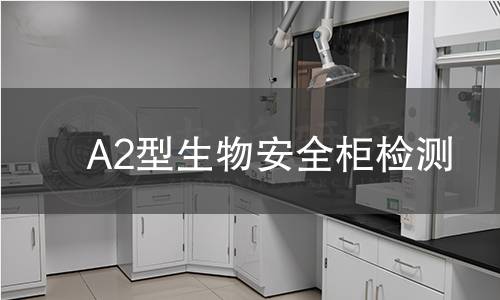 A2型生物安全柜检测