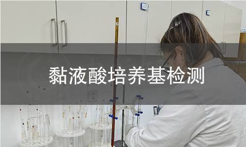 黏液酸培养基检测