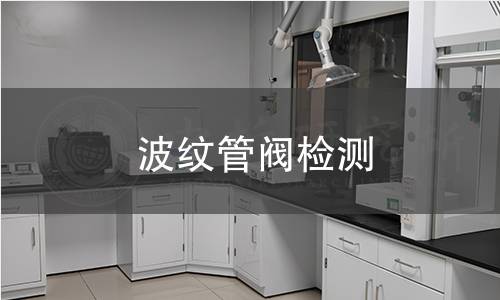 波纹管阀检测