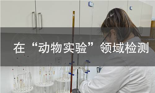 在“动物实验”领域检测