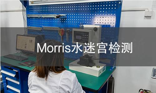 Morris水迷宫检测