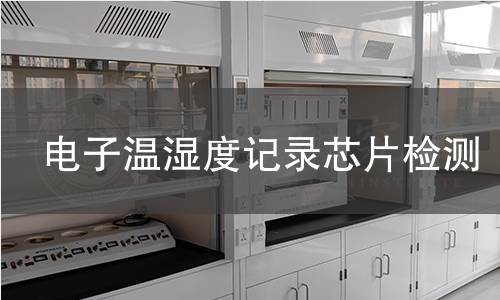 电子温湿度记录芯片检测