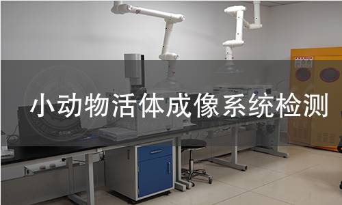 小动物活体成像系统检测