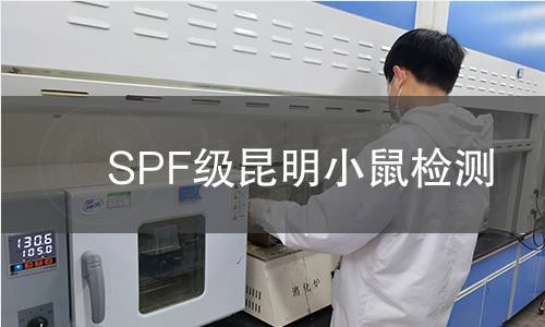 SPF级昆明小鼠检测