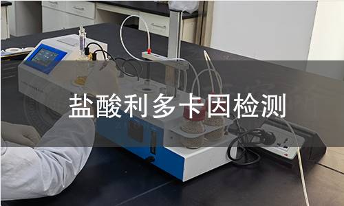 盐酸利多卡因检测