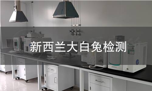 新西兰大白兔检测