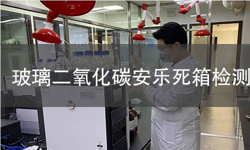玻璃二氧化碳安乐死箱检测