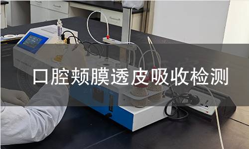 口腔颊膜透皮吸收检测