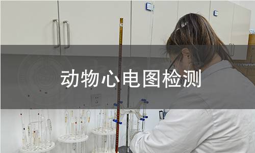 动物心电图检测