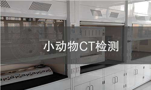 小动物CT检测