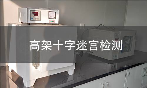 高架十字迷宫检测