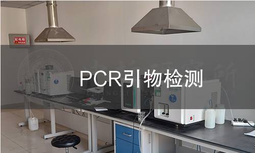 PCR引物检测