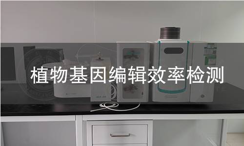 植物基因编辑效率检测