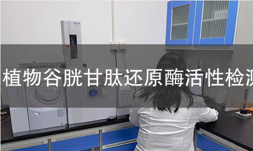 植物谷胱甘肽还原酶活性检测