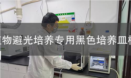 植物避光培养专用黑色培养皿检测