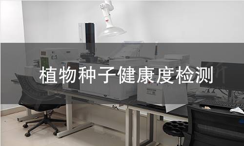 植物种子健康度检测