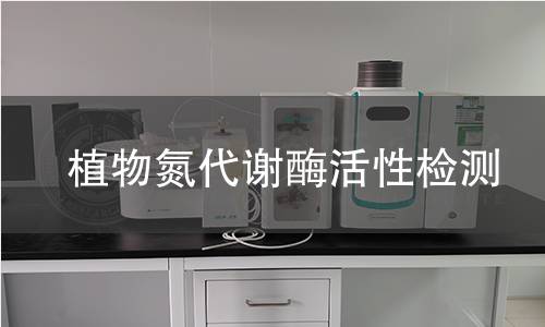植物氮代谢酶活性检测