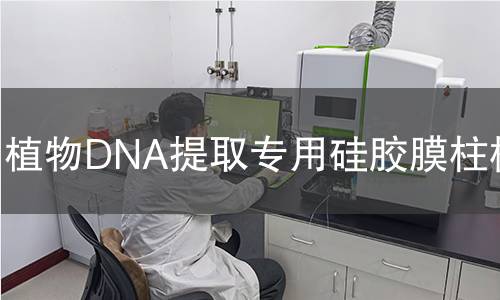 植物DNA提取专用硅胶膜柱检测