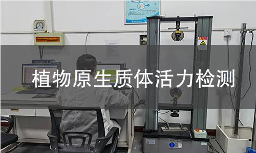 植物原生质体活力检测