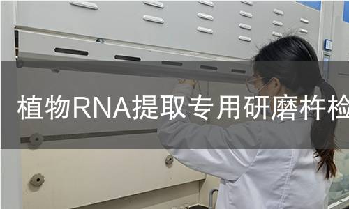植物RNA提取专用研磨杵检测
