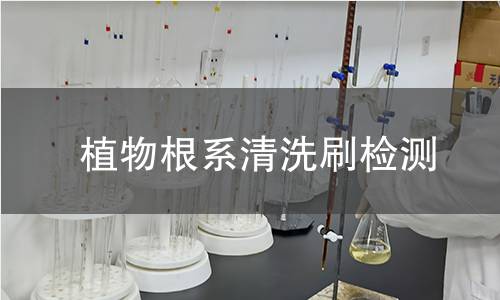 植物根系清洗刷检测