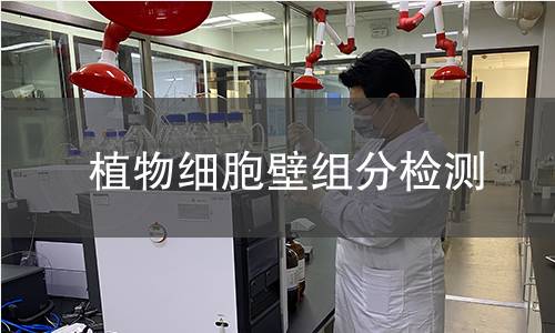 植物细胞壁组分检测