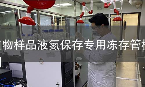 植物样品液氮保存专用冻存管检测